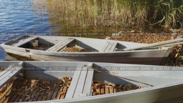 На лесном озере видно две лодки, качающиеся на воде. Осень окрашивает природу в золотые тона, создавая спокойную атмосферу. Волны легко колышут лодки. Стоковое видео, видеограф Сергей Никифоров-Гордеев / Фотобанк Лори