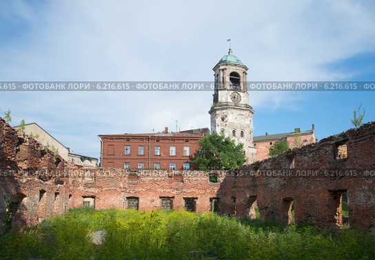 На руинах кафедрального собора. Выборг (2014 год). Стоковое фото, фотограф Виктор Карасев / Фотобанк Лори