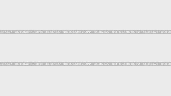 Набор анимаций, символ буйвола. Анимации: прозрачность, масштабирование, переход сверху вниз, переход слева направо, скольжение вверх-вниз, скольжение слева направо. Стоковое видео, видеограф Карпенко Алексей / Фотобанк Лори