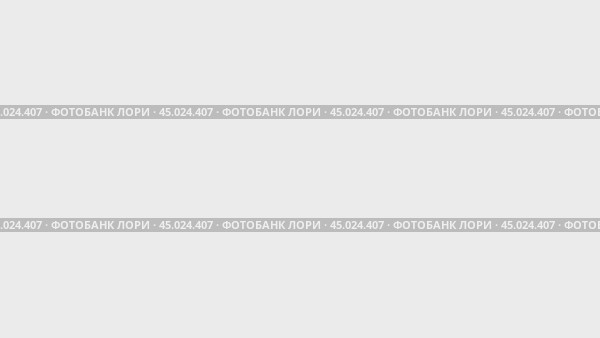 Набор анимаций, символ ручной пилы. Анимации: прозрачность, масштабирование, переход сверху вниз, переход слева направо, скольжение вверх-вниз, скольжение слева направо. Стоковое видео, видеограф Карпенко Алексей / Фотобанк Лори