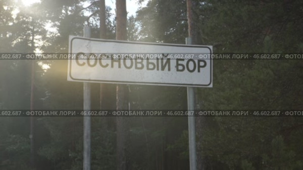 Населенный пункт, дорожный знак, Сосновый бор, дорога, машина, трасса, зима settlement, road sign, Sosnovy Bor, road, car, route, winter (2020 год). Стоковое видео, видеограф Опока Алексей / Фотобанк Лори