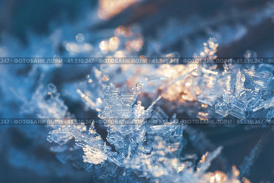 Natural background with hoar frost. Beautiful ice crystals during frosts. Macro shot of hoarfrost patterns. Snowflakes close-up. Rime ice on the stems of plants. Winter nature. Shallow depth of field. Стоковое фото, фотограф Андрей Степанов / Фотобанк Лори