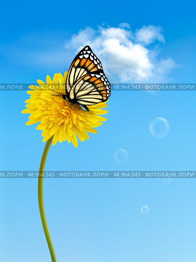 Nature background with butterfly on a yellow dandelion. Vector. Стоковая иллюстрация, агентство Ingram Publishing / Фотобанк Лори