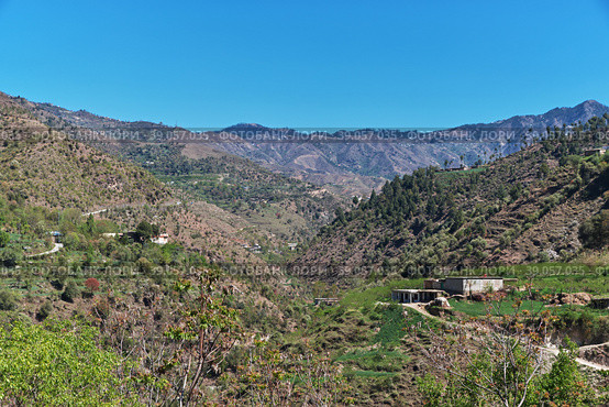 Nature in Malam Jabba close Hindu Kush mountains of Himalayas, Pakistan (2021 год). Стоковое фото, фотограф Сергей Стрелков / Фотобанк Лори
