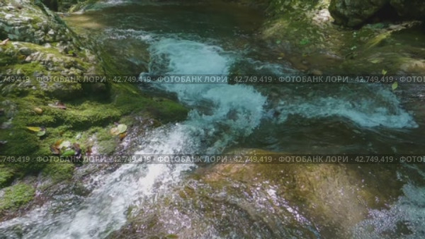 Небольшая прозрачная горная река течет по покрытым мхом скалам. Горный поток, пенящийся в порогах в скалистом русле. Стоковое видео, видеограф Воловодов Владимир / Фотобанк Лори