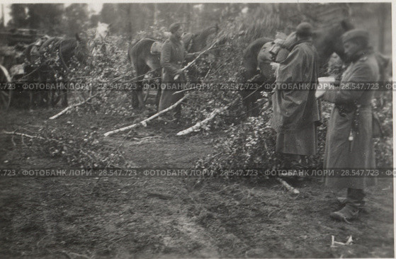 Немецкие солдаты маскируют обоз в лесу. Стоковое фото, фотограф WWII / Фотобанк Лори