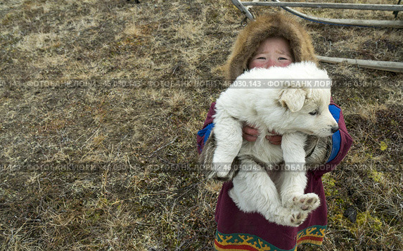 Ненецкая девочка и белый щенок. Этнография. Ямал. Редакционное фото, фотограф Катерина Романова / Фотобанк Лори
