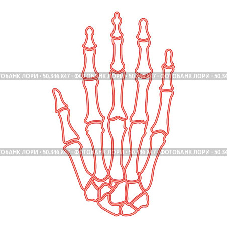 Neon hand bone red color vector illustration image flat style light. Neon hand bone red color vector illustration image flat style. Стоковая иллюстрация, агентство Ingram Publishing / Фотобанк Лори