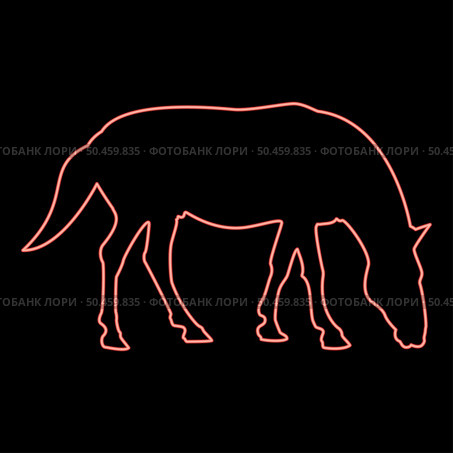 Neon steed Horse Equestrian Equine Stallion thoroughbred Mustang red color vector illustration image flat style light. Neon steed Horse Equestrian Equine Stallion thoroughbred Mustang red color vector illustration image flat style. Стоковая иллюстрация, агентство Ingram Publishing / Фотобанк Лори