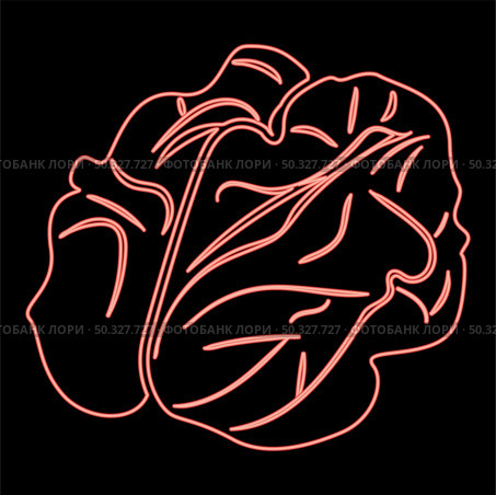 Neon walnut red color vector illustration flat style light image. Neon walnut red color vector illustration flat style image. Стоковая иллюстрация, агентство Ingram Publishing / Фотобанк Лори