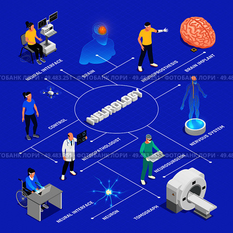 Neurology and neural surgery isometric flowchart with neural research symbols vector illustration. Стоковая иллюстрация, агентство Ingram Publishing / Фотобанк Лори