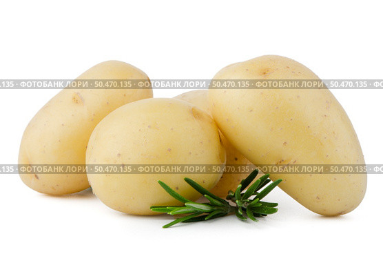New potatoes and green herbs isolated on white background close up. Стоковое фото, агентство Ingram Publishing / Фотобанк Лори