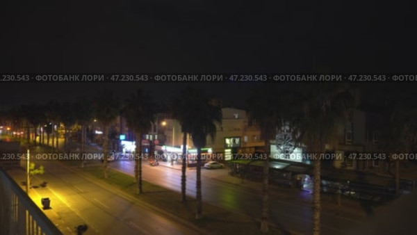 Ночная зима в Анталии Ночной вид на зимнюю Анталию. Освещённые улицы и неоновые вывески создают уютную атмосферу южного города, даже в прохладное время года. Ряд пальм подчёркивает его тёплый климат, а отражённые огни на мокром асфальте добавляют особую глубину кадру. Редакционное видео, видеограф Анна Чижова / Фотобанк Лори