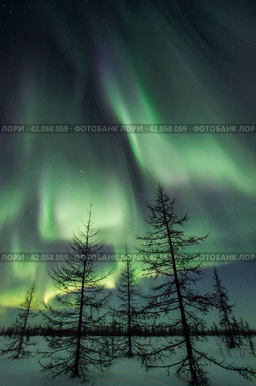 Northern lights reflected in the water. Стоковое фото, фотограф Данил Хусаинов / Фотобанк Лори