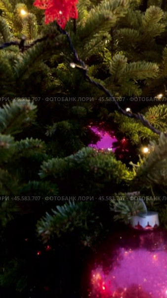 Новогодняя украшенная ёлка в городе Москве поздним вечером (2023 год). Стоковое видео, видеограф Оксана Шведкова / Фотобанк Лори