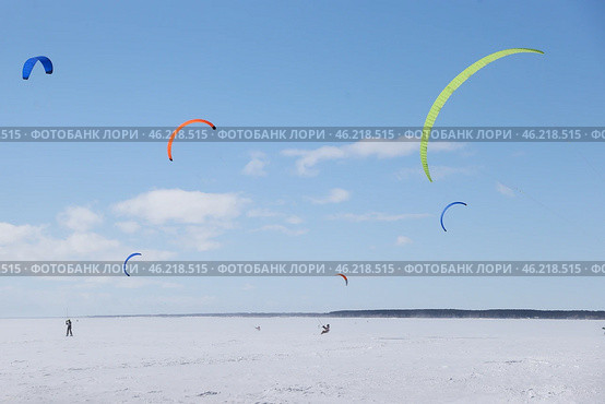 Новосибирск. Сноукайтеры на лыжах и сноуборде. Стоковое фото, фотограф Кирилл Кухмарь / ТАСС / Фотобанк Лори