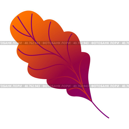Oak leaves. Стоковая иллюстрация, иллюстратор Ольга Головкина / Фотобанк Лори