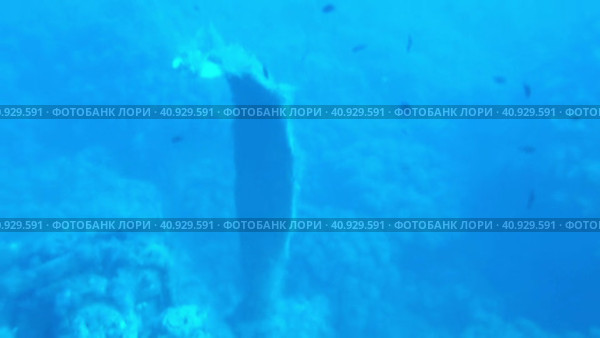 Обзор на самолетный мотор с погнутыми лопастями винта на дне морском. Стоковое видео, видеограф Цыбин Вадим / Фотобанк Лори