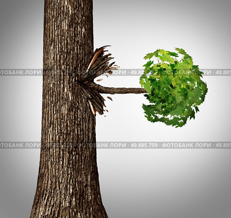 Offshoot concept as a lateral move business metaphor as a tree trunk with a sideways branch and leaves bursting out horizontaly as an icon for branching out or a spin off idea. Стоковое фото, агентство Ingram Publishing / Фотобанк Лори