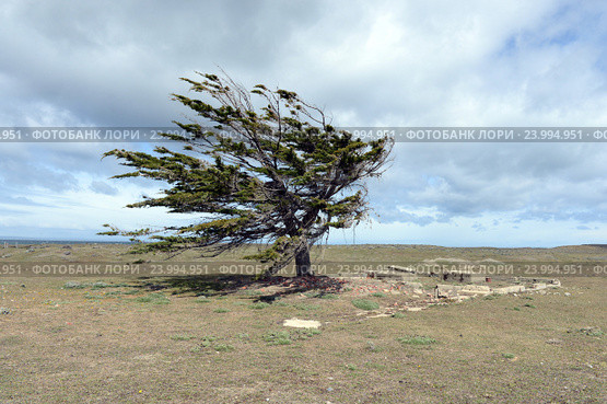 Огненная Земля (2014 год). Стоковое фото, фотограф Free Wind / Фотобанк Лори