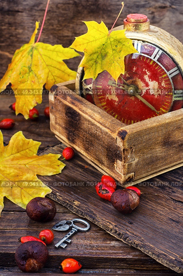 old alarm clock in the autumn style. retro alarm clock with dial with Arabic numerals on a background with maple leaves and wild roses. Стоковое фото, агентство Ingram Publishing / Фотобанк Лори