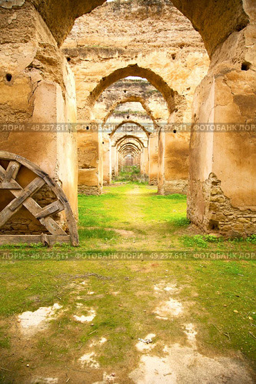 old moroccan granary in the green grass and archway  wall. Стоковое фото, агентство Ingram Publishing / Фотобанк Лори