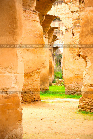 old moroccan granary in the green grass and archway  wall. Стоковое фото, агентство Ingram Publishing / Фотобанк Лори