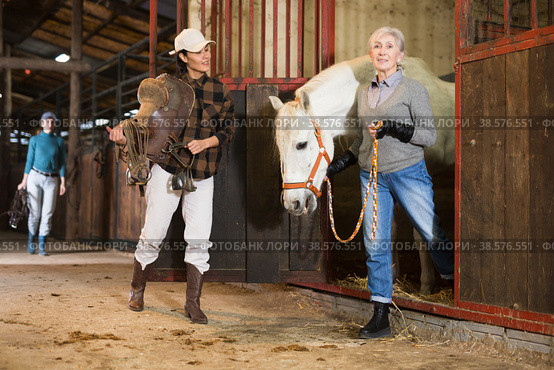 Older woman rancher leading horse out of stall while Asian woman holding saddle. Стоковое фото, фотограф Яков Филимонов / Фотобанк Лори
