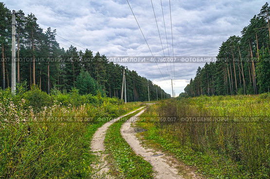 Опоры ЛЭП на лесной просеке осенью. Стоковое фото, фотограф Александр Тараканов / Фотобанк Лори