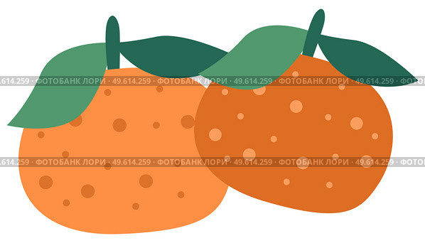 Orange tangerines with green leaves vector illustration. Sweet and sour citrus isolated on a white background. Tree fruit with dark speck. Mandarines plucked with a twig and leaves, grown in Greece. Orange tangerine with green leaves vector illustration. Citrus isolated on a white background. Стоковая иллюстрация, агентство Ingram Publishing / Фотобанк Лори