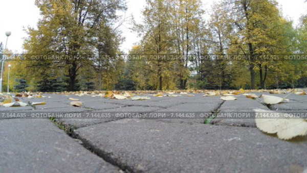 Осень в городском парке. Разлетающиеся от ветра листья с дорожки парка. Стоковое видео, видеограф Mikhail Erguine / Фотобанк Лори