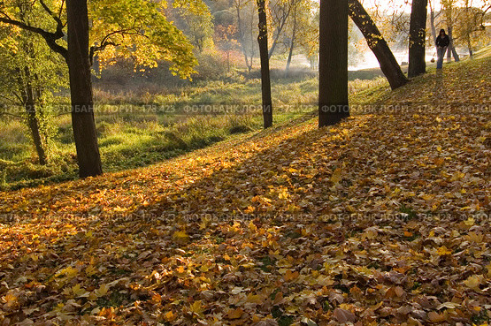 Осень в Павловске (2007 год). Редакционное фото, фотограф Александр Алексеев / Фотобанк Лори