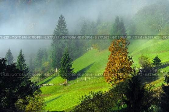 Осенний горный пейзаж в Карпатах. Стоковое фото, фотограф Эдуард Кислинский / Фотобанк Лори
