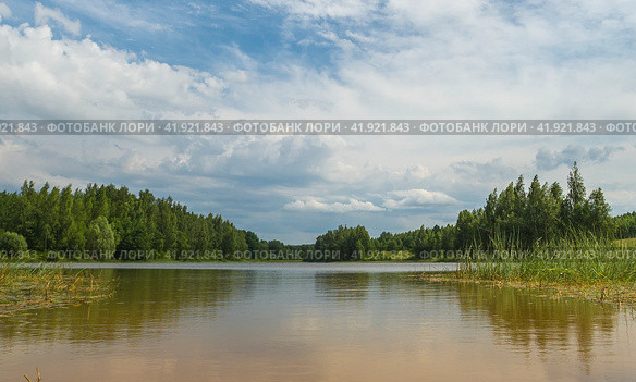 Осенний пейзаж озеро лес и облачное небо. Стоковое фото, фотограф Оксана Владимировна Грачева / Фотобанк Лори