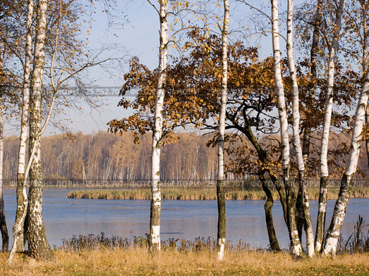 Осенний пейзаж с первым льдом на воде. Вашутино, река Химка (2004 год). Стоковое фото, фотограф Анатолий Заводсков / Фотобанк Лори