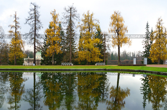 Осенний пейзаж в Царском селе (2013 год). Редакционное фото, фотограф Елена Коромыслова / Фотобанк Лори