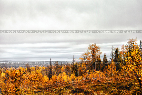 Осенний пейзаж. Вид на озеро Пяозеро. Республика Карелия. Россия. Стоковое фото, фотограф Наталья Осипова / Фотобанк Лори