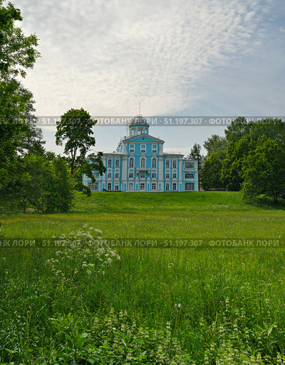 Особняк Воронцова (усадьба Новознаменка, Санкт-Петербург), сине-белый дворец в стиле барокко работы Трезини и Ринальди, летний вид с зелёным лугом. Стоковое фото, фотограф Елена  Попкова / Фотобанк Лори
