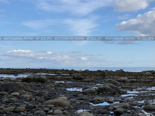 Отлив в Белом море. Стоковое фото, фотограф Пупкова Арина / Фотобанк Лори