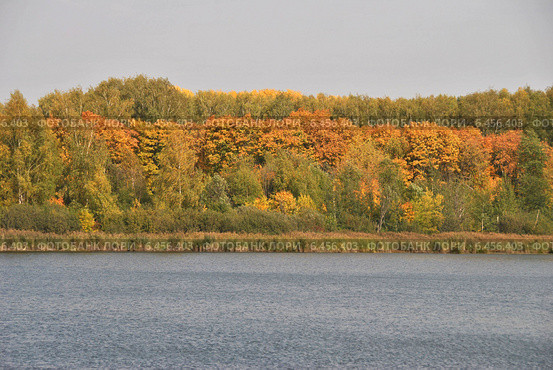 Озеро Сенеж в Солнечногорске осенью (2014 год). Стоковое фото, фотограф lana1501 / Фотобанк Лори