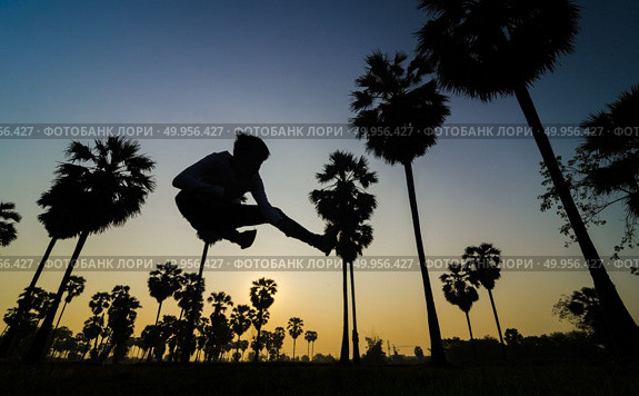 palm trees on the background of a beautiful sunrise. Стоковое фото, агентство Ingram Publishing / Фотобанк Лори