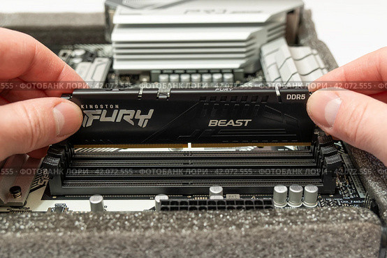 Пальцы человека вставляют модуль оперативной памяти Kingston Fury в специальный слот на материнской плате (2024 год). Редакционное фото, фотограф Sergei Gorin / Фотобанк Лори