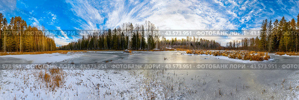 Панорама бобрового пруда в осеннем лесу. Стоковое фото, фотограф Алексей Денисов / Фотобанк Лори