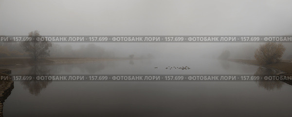 Панорама пруда. Стоковое фото, фотограф Julia Shepeleva / Фотобанк Лори
