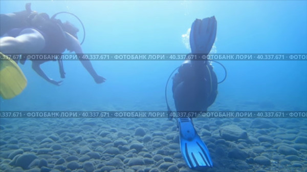 Пара аквалангистов неспешно плывет рядом с морским дном. Стоковое видео, видеограф Цыбин Вадим / Фотобанк Лори