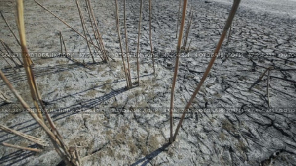 Parched ground revealing drought's harsh impact, cracked terrain symbolizing environmental stress in arid crimean landscape. Стоковое видео, видеограф Mikhail Davidovich / Фотобанк Лори