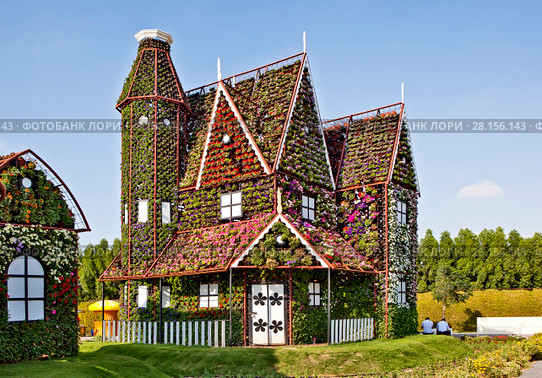 Парк цветов в Дубае (Dubai Miracle Garden). Объединённые Арабские Эмираты (2014 год). Редакционное фото, фотограф Сергей Афанасьев / Фотобанк Лори