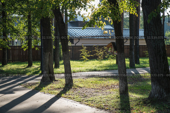 Парковые тротуары в Глуховском парке города Ногинск Богородского городского округа (2019 год). Стоковое фото, фотограф Кузин Алексей / Фотобанк Лори
