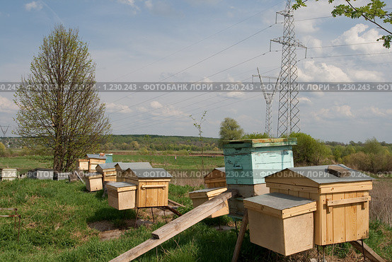 Пасека (2009 год). Стоковое фото, фотограф Ярослава Синицына / Фотобанк Лори