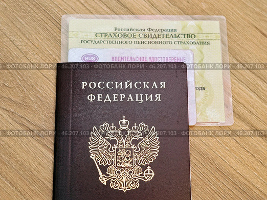 Паспорт гражданина РФ, водительское удостоверение и СНИЛС. Стоковое фото, фотограф Цибаев Алексей / Фотобанк Лори